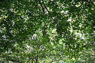 孤岛惊魂6怎么联机？FarCry6多人联机教程攻略